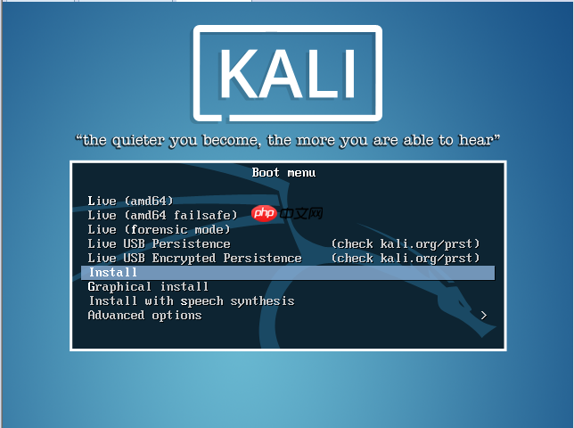 Kali安装教程（VMWare）