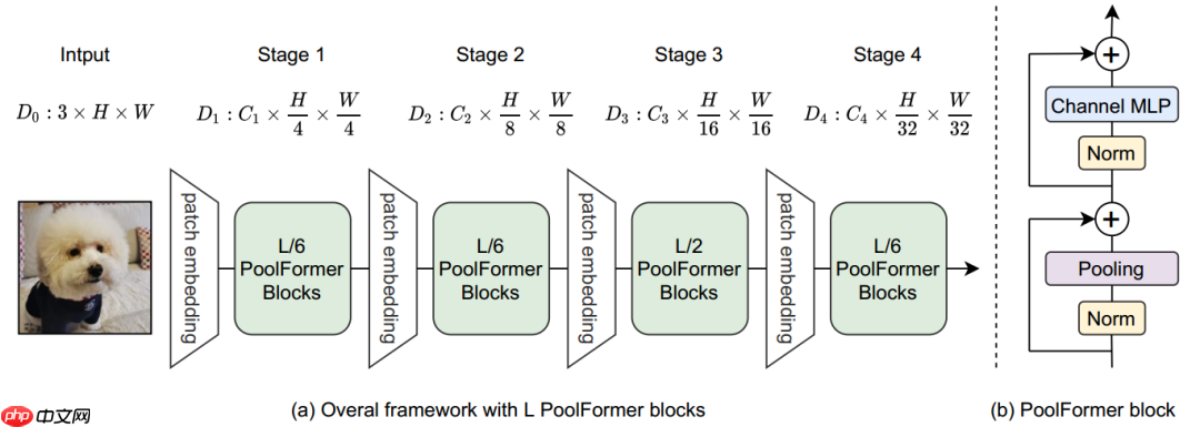 Vision Transformer 必读系列之图像分类综述(三): MLP、ConvMixer 和架构分析