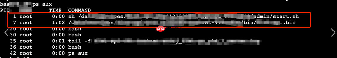 K8S容器应用优雅关闭-修复5003 Error