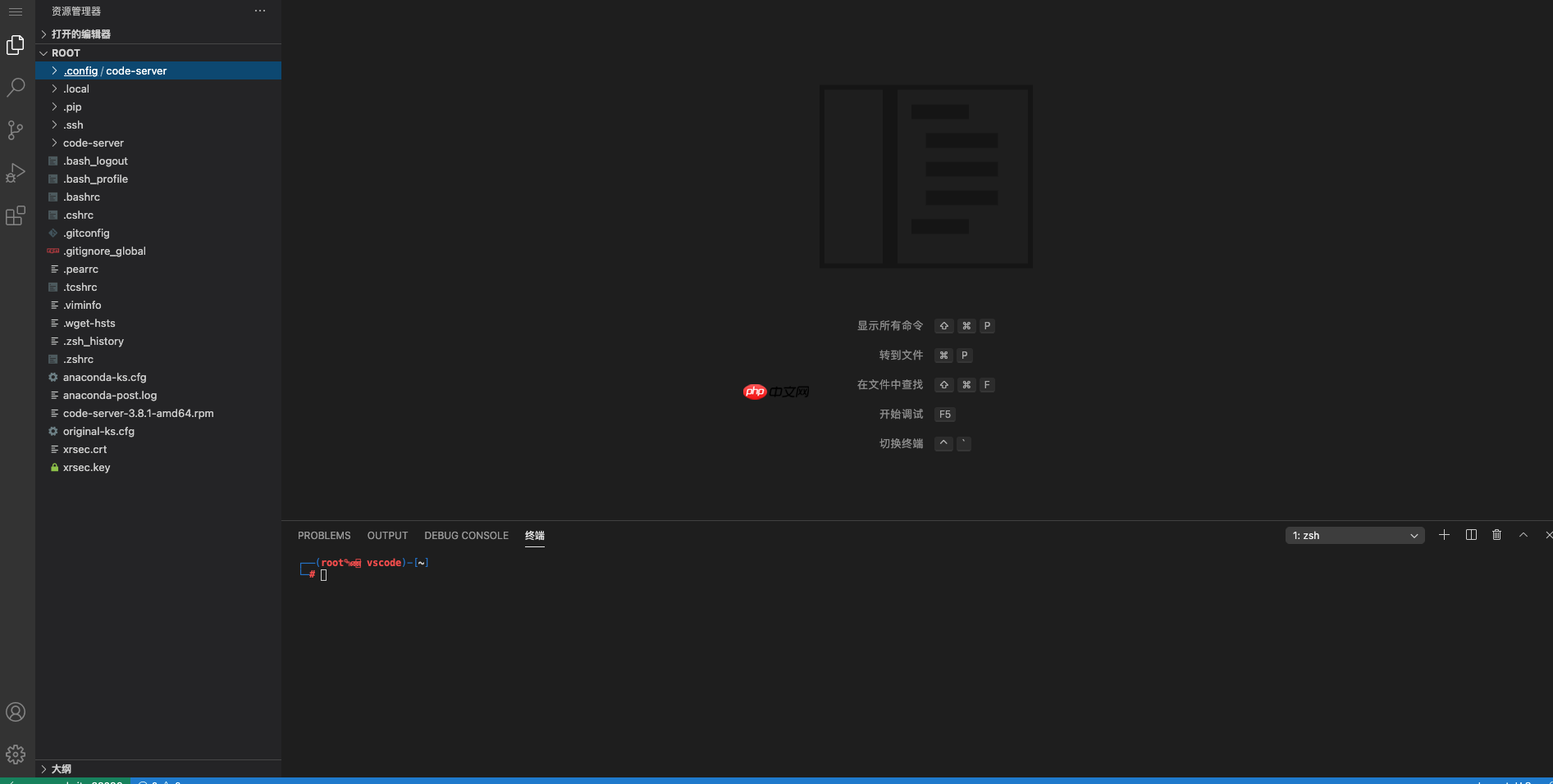 Online Config VS Code