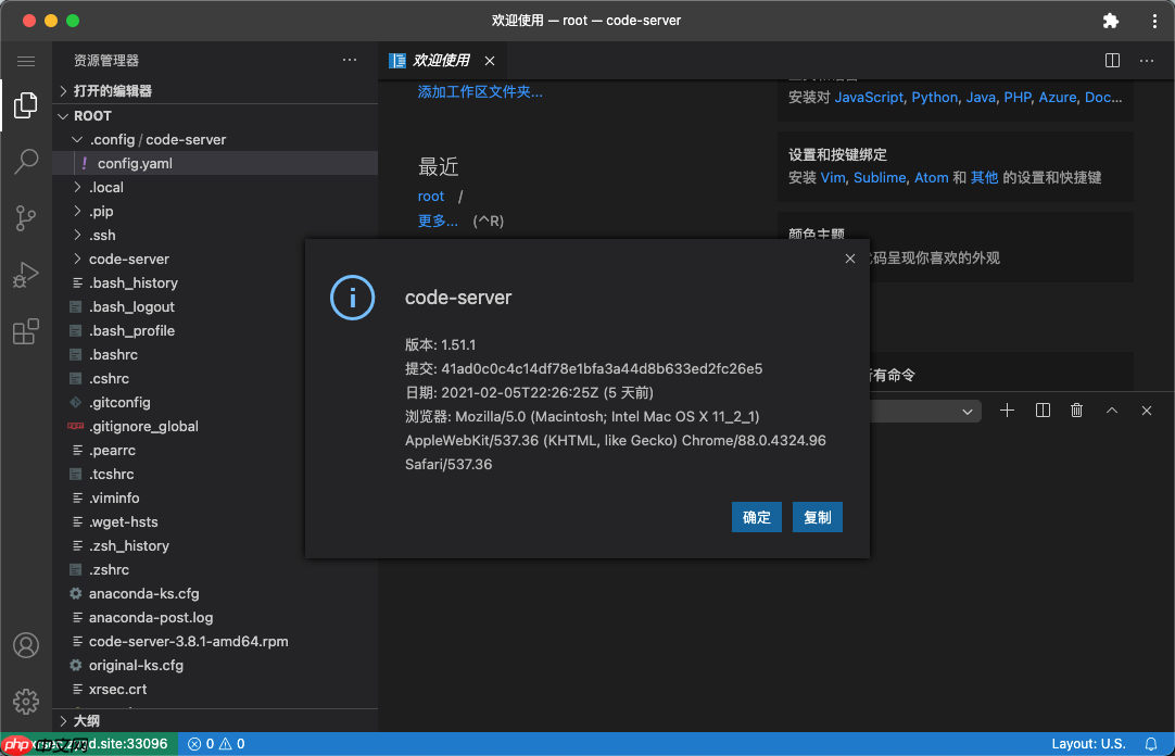 Online Config VS Code