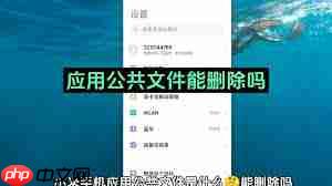 小米手机清理应用公共文件方法