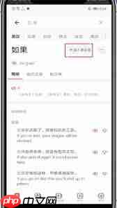 网易有道词典旧版翻译入口找不到