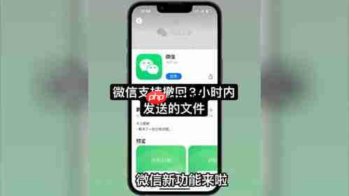 微信发文件3小时内可撤回