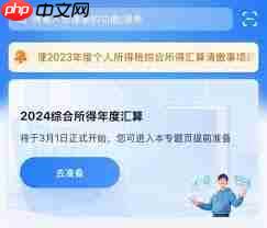 3月1日2024年度个税汇算启动了吗