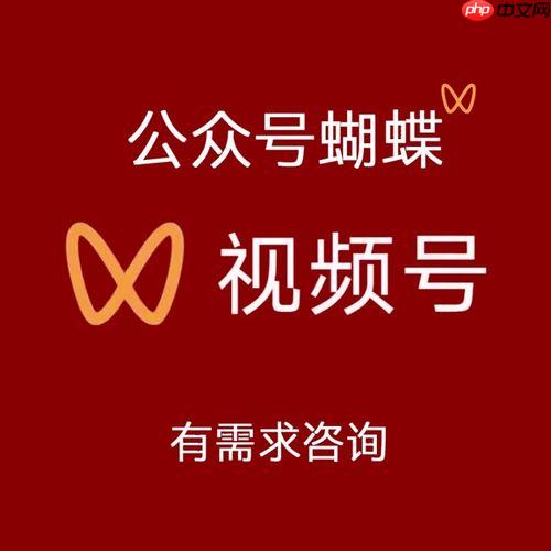 微信视频号蝴蝶号引流技巧：用好这几个入口，轻松涨粉