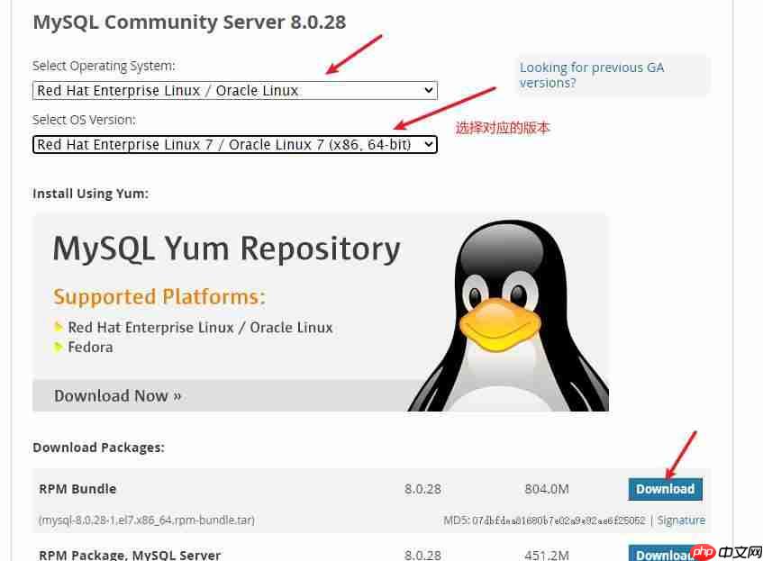 CentOS安装Mysql8.0图文教程[通俗易懂]