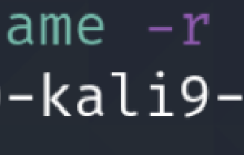 漏洞复现 | DirtyPipe CVE-2022-0847 Linux 内核提权漏洞复现
