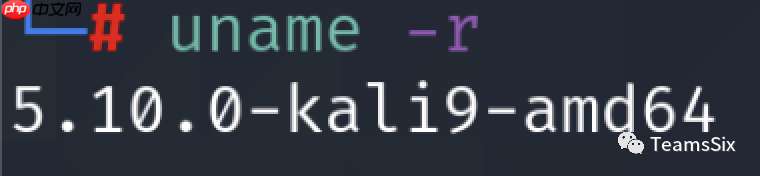 漏洞复现 | DirtyPipe CVE-2022-0847 Linux 内核提权漏洞复现