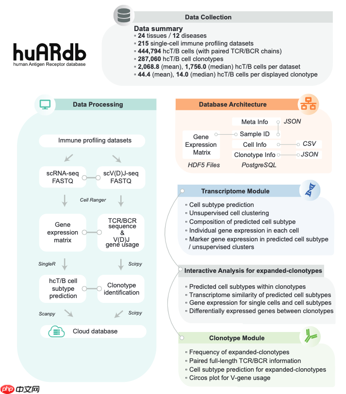 huARdb:单细胞水平克隆型-转录组分析的人类抗原受体数据库