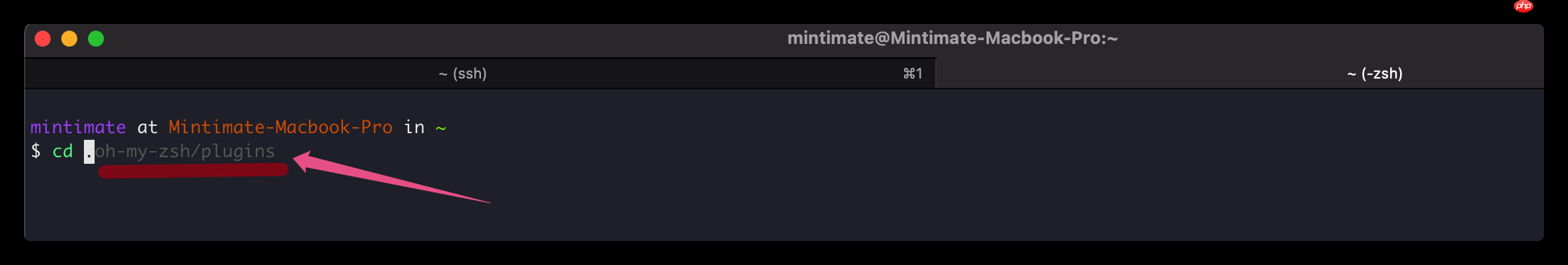 Linux/Mac通过Oh-my-zsh配置Zsh插件，让你的终端更加强大且智能