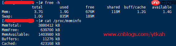 查看Centos内存使用情况linux命令
