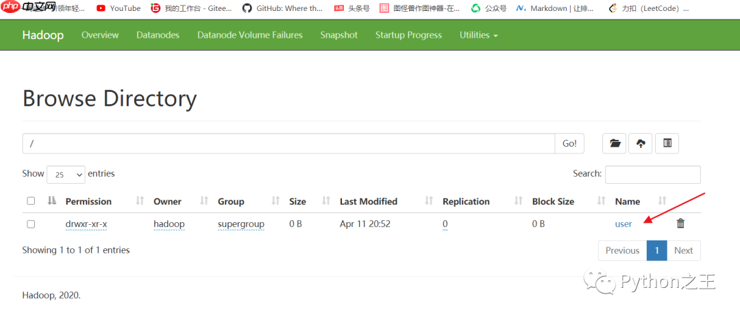 二、分布式文件系统HDFS及其简单使用