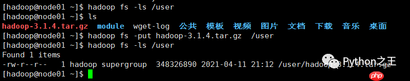 二、分布式文件系统HDFS及其简单使用
