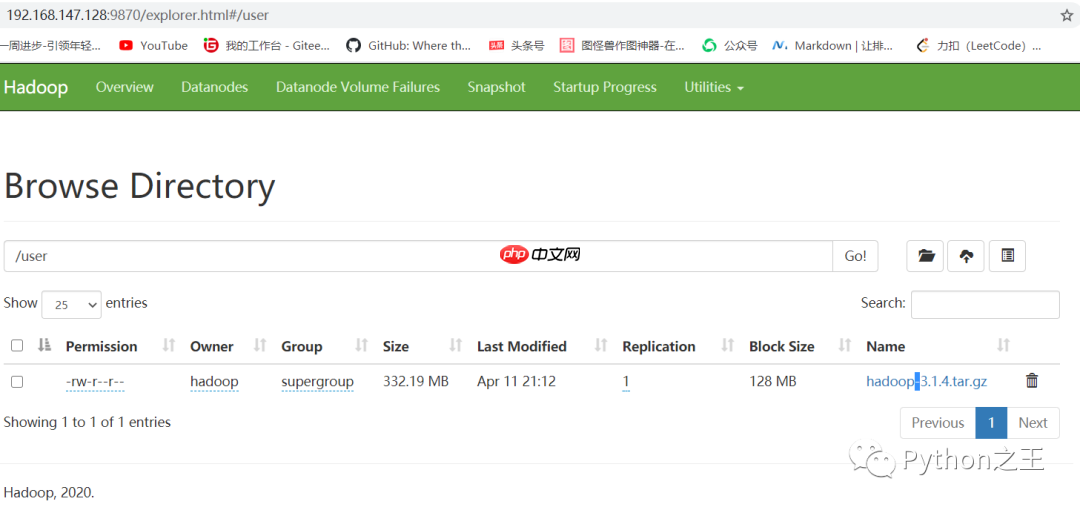二、分布式文件系统HDFS及其简单使用