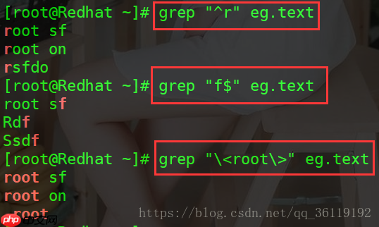 Linux中正则表达式和字符串的查询、替换(tr/diff/wc/find)
