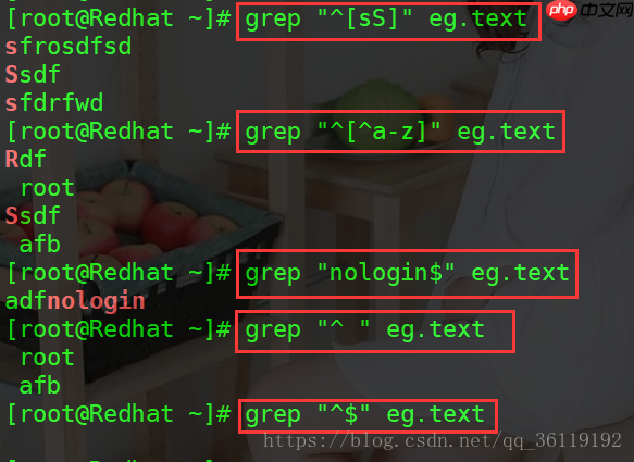 Linux中正则表达式和字符串的查询、替换(tr/diff/wc/find)