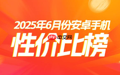 最新安卓阵营高端手机性价比排名：小米15 Pro仅第七