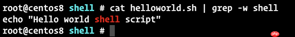 一文掌握shell脚本的基本语法