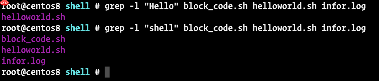 一文掌握shell脚本的基本语法