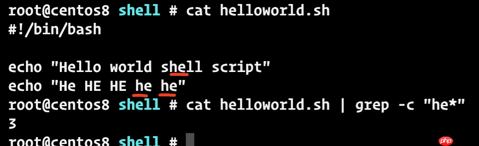 一文掌握shell脚本的基本语法