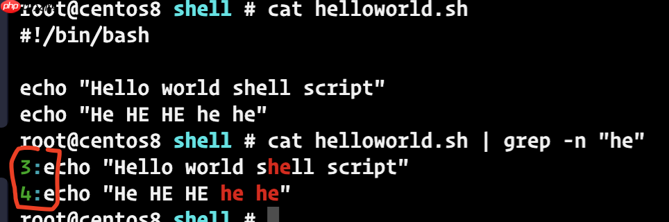 一文掌握shell脚本的基本语法