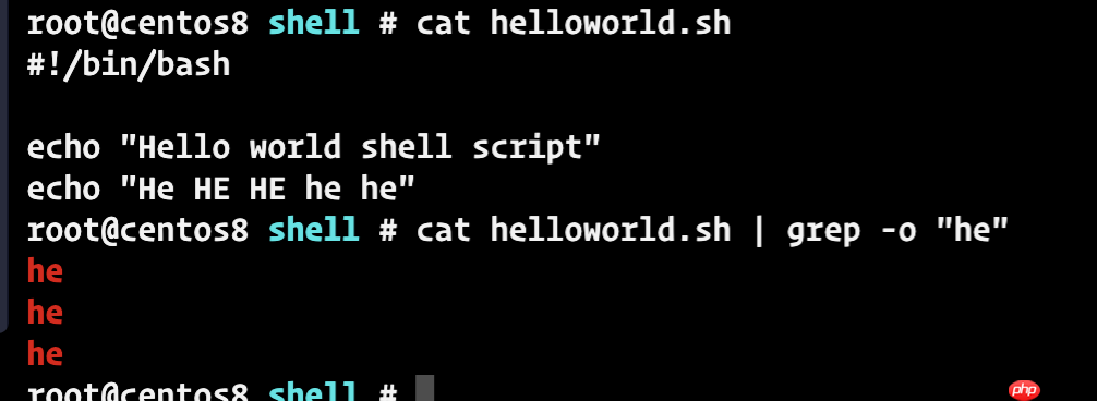 一文掌握shell脚本的基本语法