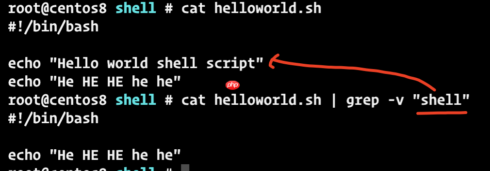 一文掌握shell脚本的基本语法