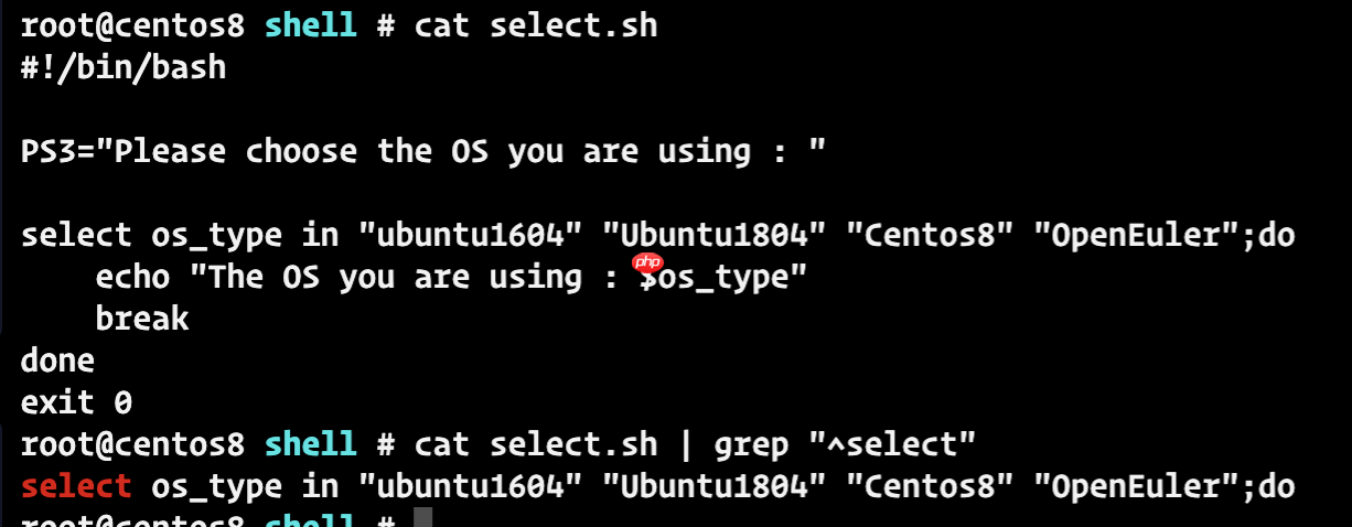 一文掌握shell脚本的基本语法