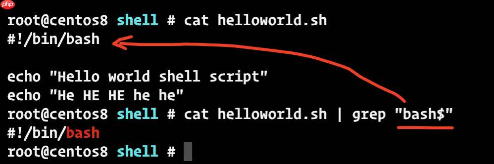 一文掌握shell脚本的基本语法