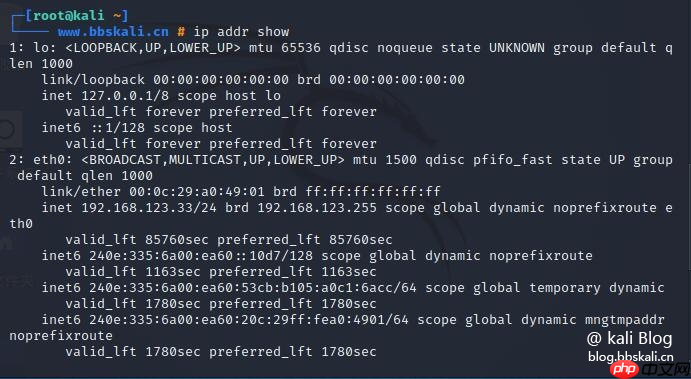 Kali中的20个网络命令