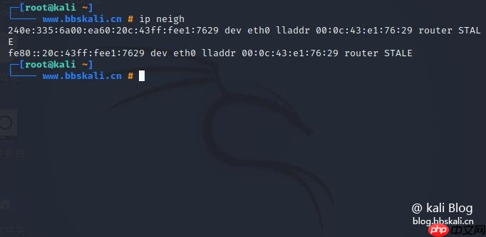 Kali中的20个网络命令