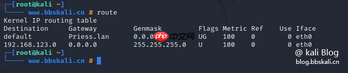 Kali中的20个网络命令