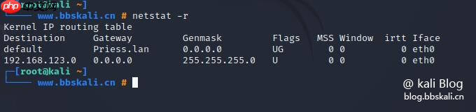 Kali中的20个网络命令