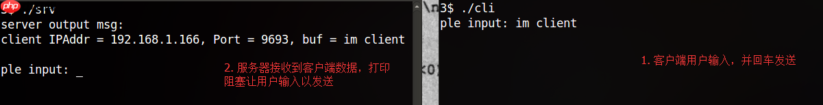 send()、sendto()和recv()、recvfrom()的使用