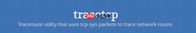 腾讯云windows使用tracetcp进行目标IP tcp 端口路由追踪
