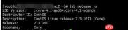 【Docker】linux 安装docker