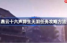 燕云十六聲辭生無淚任務(wù)攻略方法-燕云十六聲辭生無淚任務(wù)怎么做