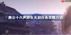 燕云十六声辞生无泪任务攻略方法-燕云十六声辞生无泪任务怎么做