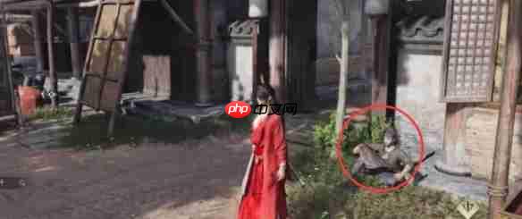 燕云十六声辞生无泪任务攻略方法-燕云十六声辞生无泪任务怎么做