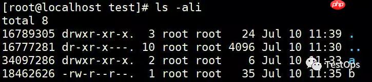 每周学点测试小知识-Linux文件属性