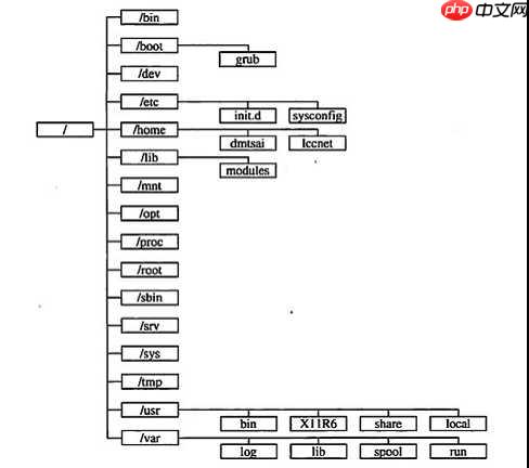 Linux文件系统目录结构详解