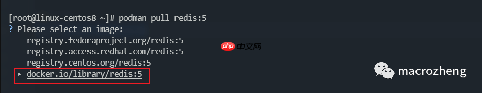 Podman 已成 Linux 官方标配!Docker 没戏了?