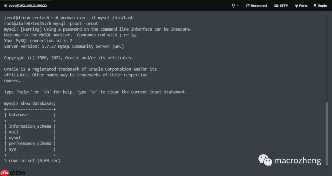 Podman 已成 Linux 官方标配!Docker 没戏了?