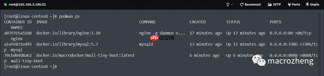 Podman 已成 Linux 官方标配!Docker 没戏了?
