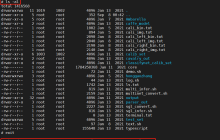 Liunx基础-记录终端输出到文本文件