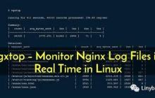 一个工具帮你搞定实时监控Nginx服务器