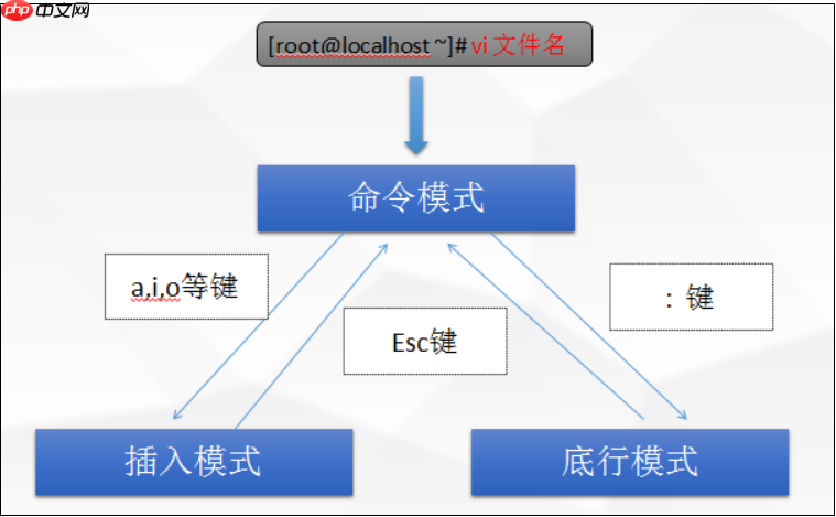 Linux VI文本编辑器