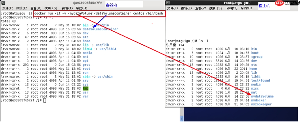 Docker之容器数据卷