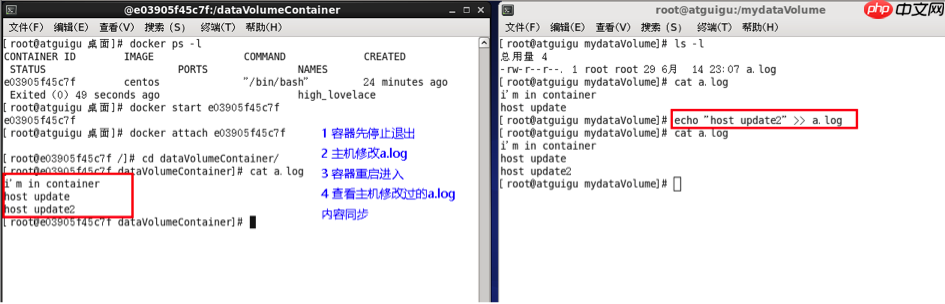 Docker之容器数据卷
